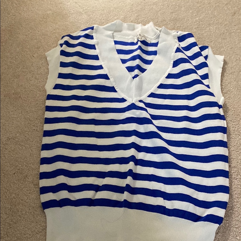 Vine & Love Blue and White Striped Top